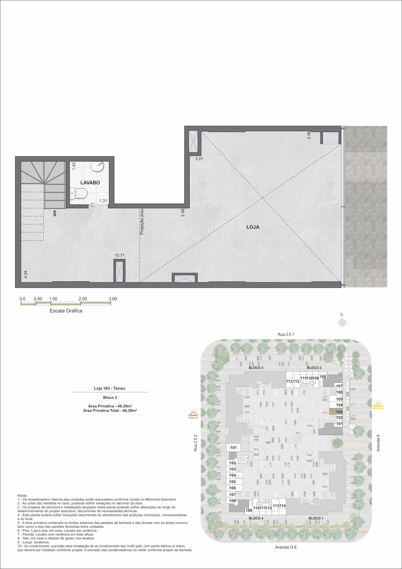 Planta 13