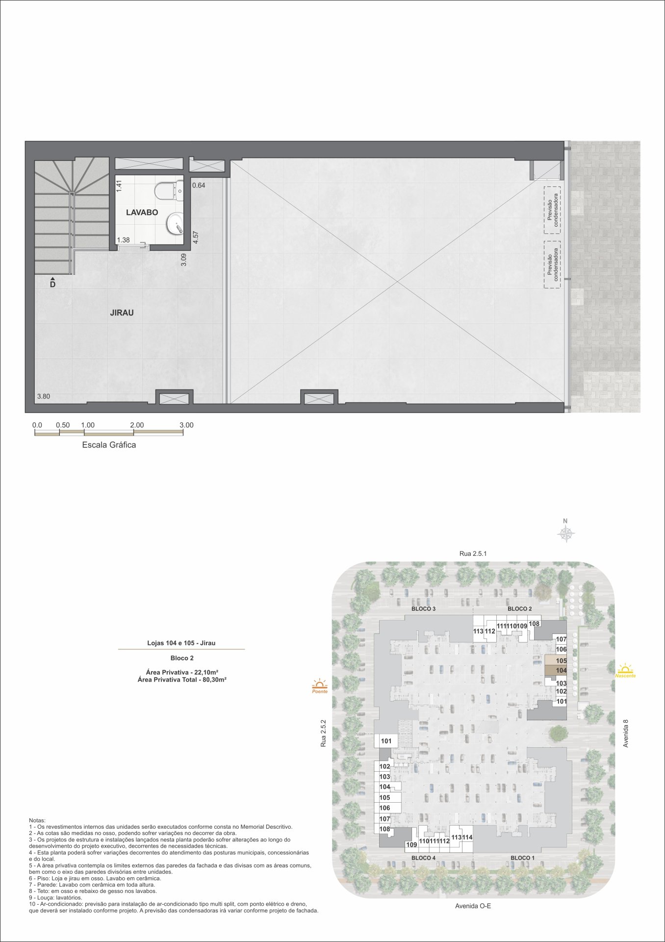 Planta 16