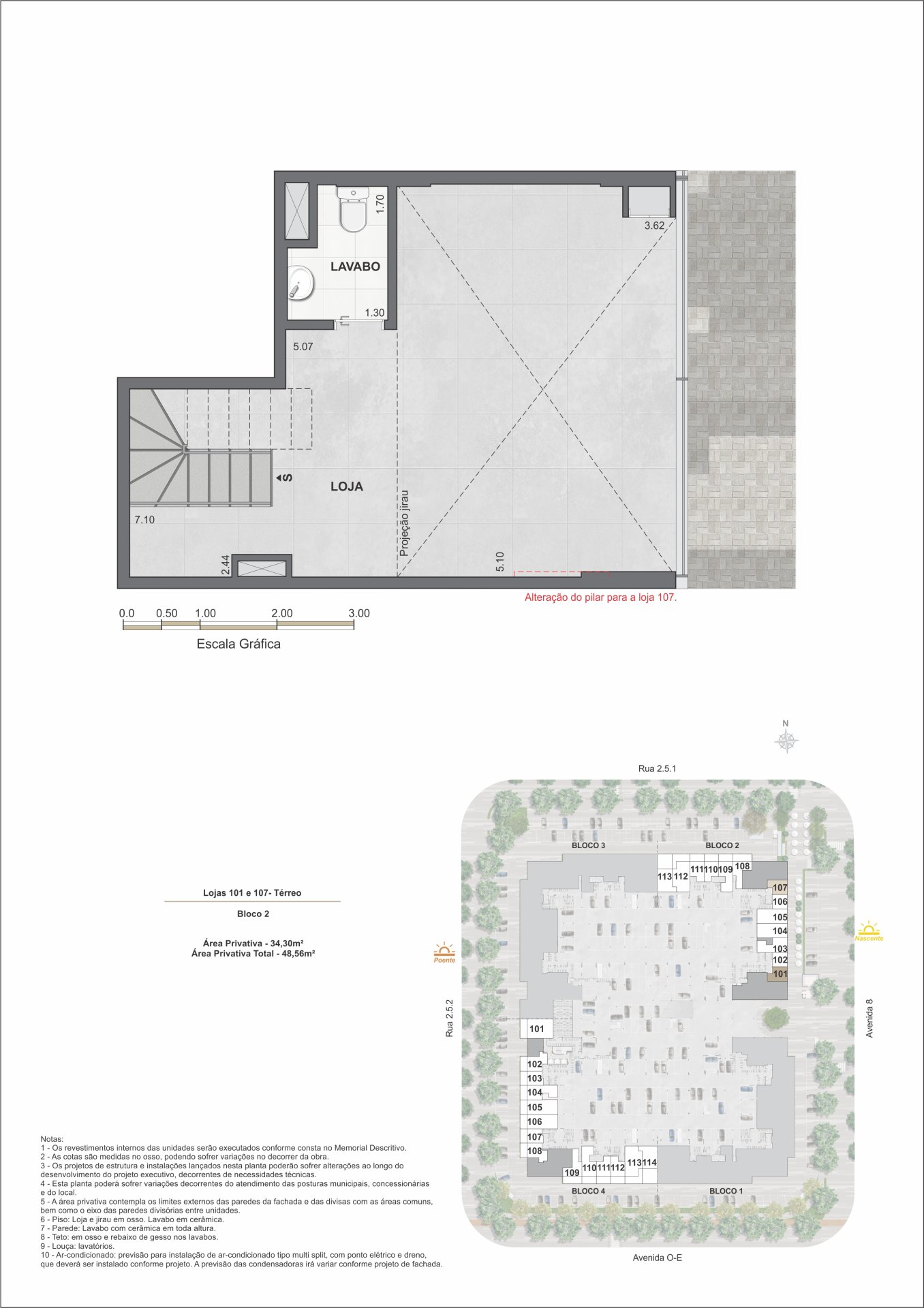 Planta 17