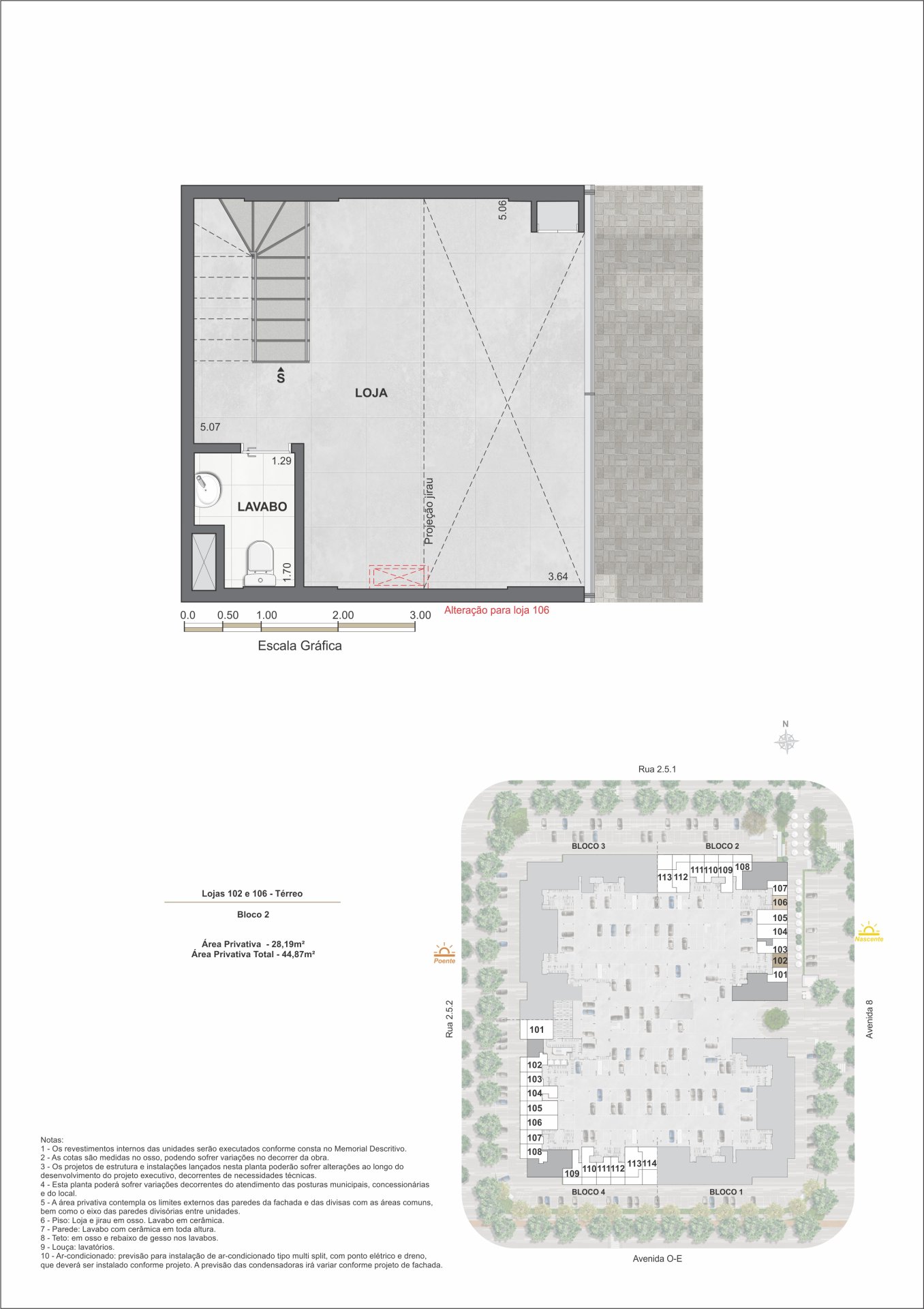 Planta 19