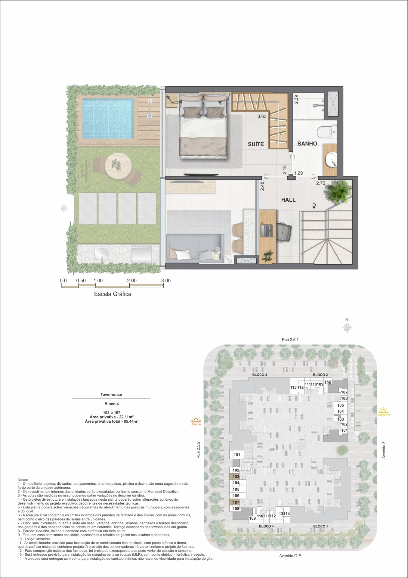 Planta 31