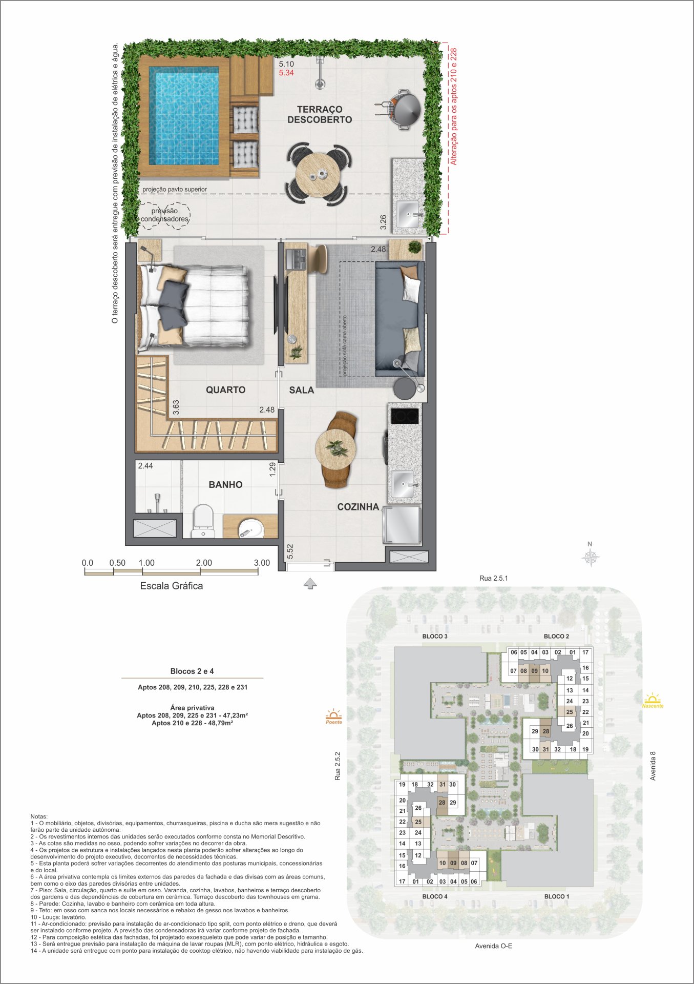 Planta 43